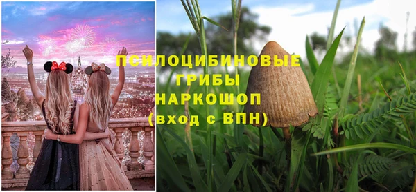 молекула духа Кукмор
